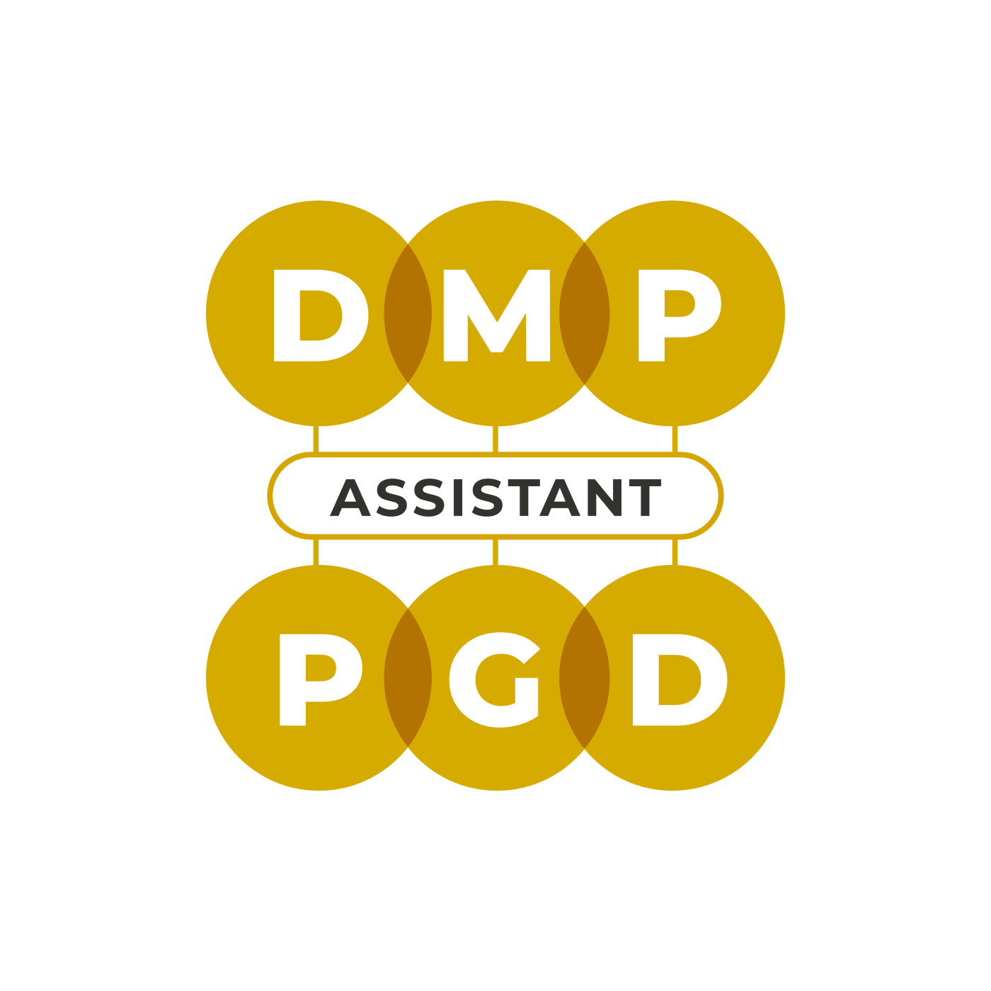 DMP Logo