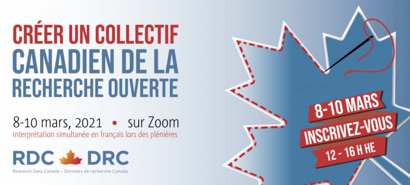 Sommet sur l’encadrement des services de données nationaux de 2021